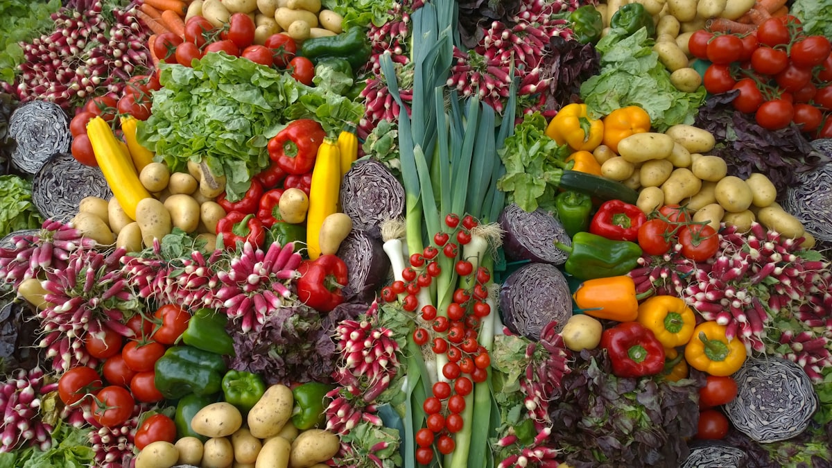 Ricette con ingredienti biologici